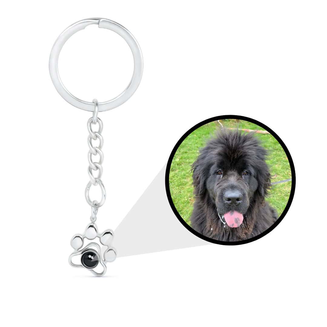 Paw Projection keychain